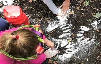 Introduction to Forest School