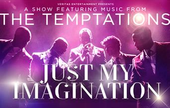 Just My Imagination