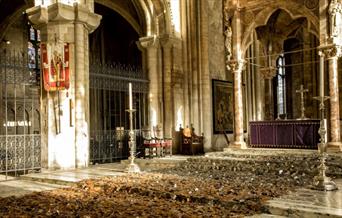 Leaves of the Trees Exhibition at Peterborough Cathedral - by Peter Walker