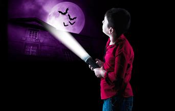 Child shining torchlight onto Peterborough Museum frontage and a full moon with bats silhouetted in front