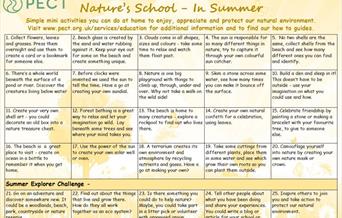 Summer Nature's School Activities