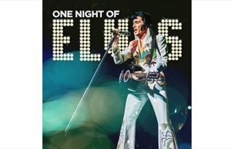 One night with Elvis