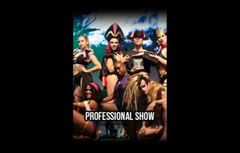 Pole Theatre, Professional Show