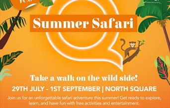 Summer Safari