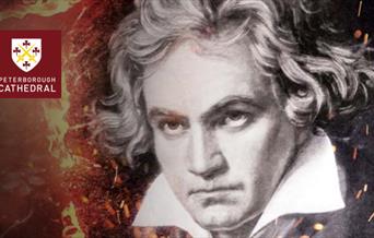 Beethoven: Ninth Symphony Promo Image