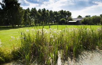 Flag Fen