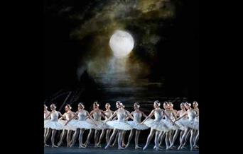 Swan Lake