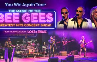 The Magic of the Bee Gees