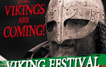 A Viking on a black background. Text reads 'the Vikings are coming! Viking festival, the Battle of Ringmere 1010'.
