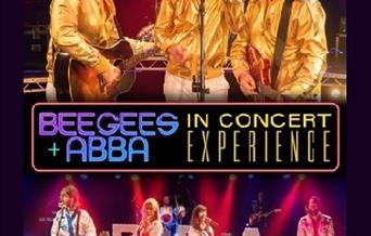 BeeGees + ABBA in concert experience