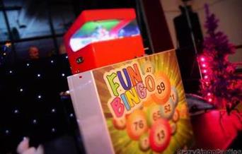 Crazy Bingo Party