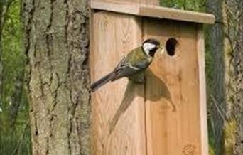 Birdbox stock image
