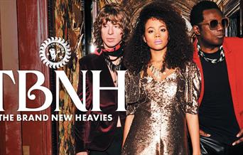 The Brand New Heavies
