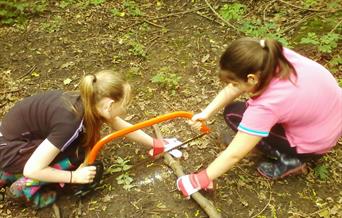 Bushcraft skills image
