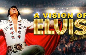 A VISION OF ELVIS