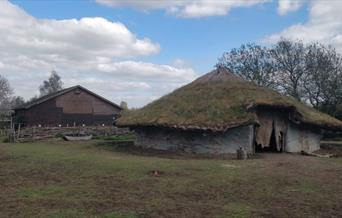 Flag Fen