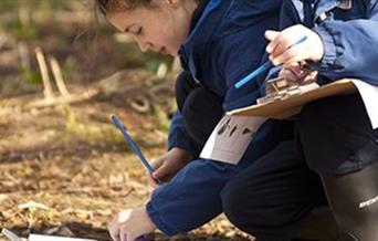 Wild Home Educator Sessions (Campfire and woodland crafts)