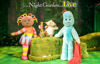 IN THE NIGHT GARDEN LIVE