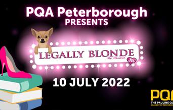 Legally Blonde Jr