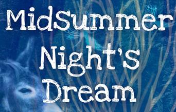 A MIDSUMMER NIGHTS DREAM