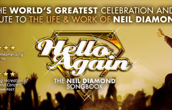 Neil Diamond 'Hello Again' poster