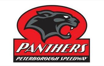 Panthers logo