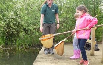 Pond dipping at Nene Park