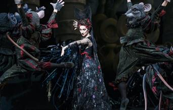 ROH SCREENING: THE SLEEPING BEAUTY