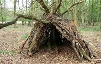 Nene Park Survival Challenge
