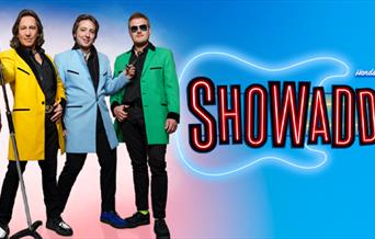 Showaddywadddy poster