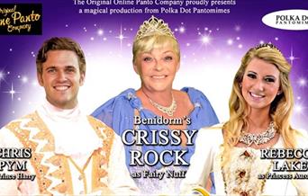 SLEEPING BEAUTY - ONLINE PANTO
