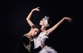 SWAN LAKE