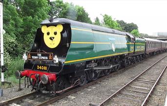 Teddy Express
