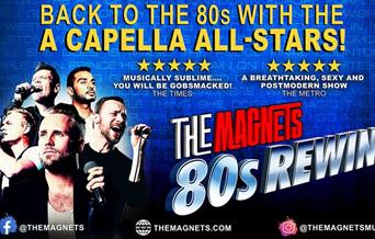 THE MAGNETS 80S REWIND