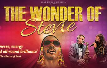 THE WONDER OF STEVIE