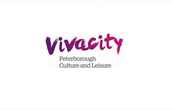 Vivacity logo