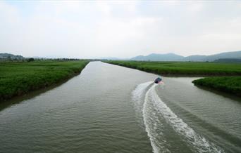 Water Taxi Stock