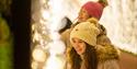 Christmas illuminations at Belton House