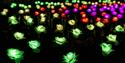 Christmas illuminations at Belton House