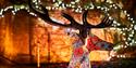 Christmas illuminations at Belton House