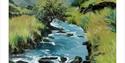 Ann Ardron - Mountain Stream