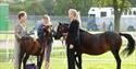 Equifest