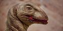 Deinonychus close up of head © The Natural History Museum London 904x528