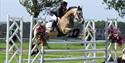 Competitive riding at Equifest