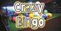 Crazy Bingo Party - 1st February 2024