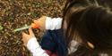 Bushcraft