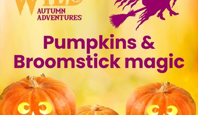 A yellow background with carved pumpkins. Purple text reads 'pumpkins and broomstick magic'.