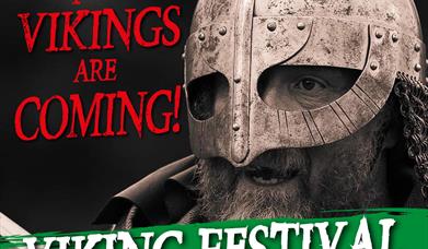 A Viking on a black background. Text reads 'the Vikings are coming! Viking festival, the Battle of Ringmere 1010'.