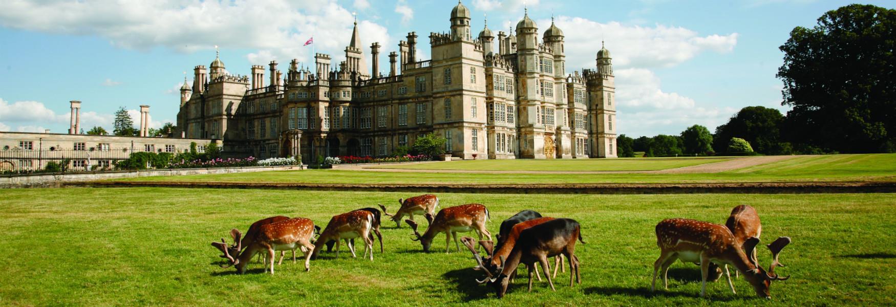 Deer in front of Burghley House