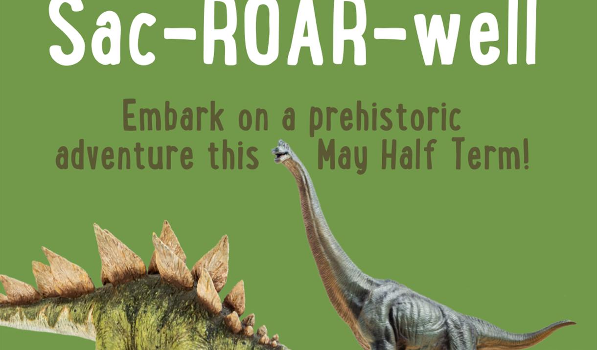 Sac-Roar-Well May Half Term